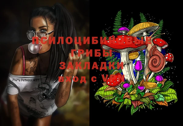 стаф Бронницы