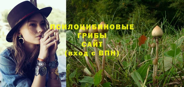 крисы Бугульма
