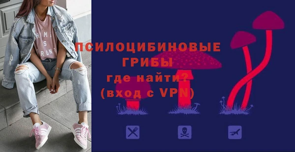 стаф Бронницы