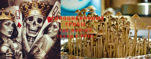 крисы Бугульма