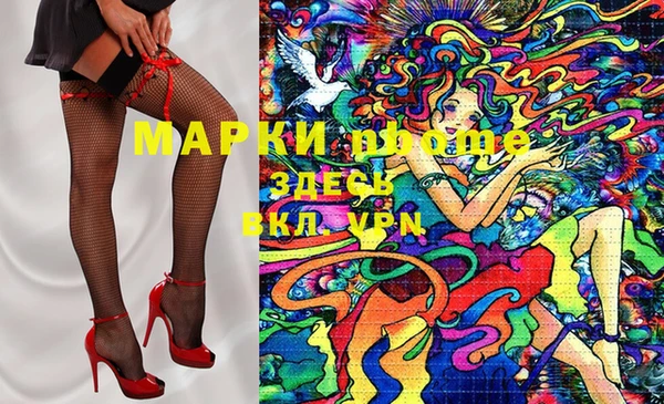 стаф Бронницы