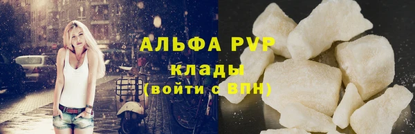 стаф Бронницы